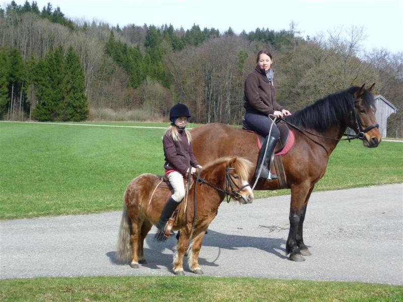 Beim Appertinger Villa Truchtlaching Buitenkant foto