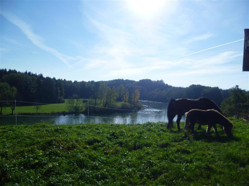 Beim Appertinger Villa Truchtlaching Buitenkant foto