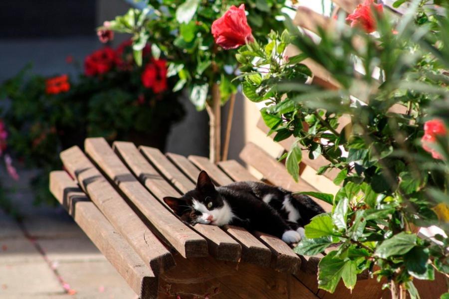 Beim Appertinger Villa Truchtlaching Buitenkant foto